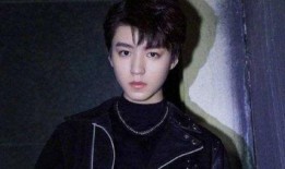 王俊凯爆料自己视频下载,揭秘明星隐私保护之道